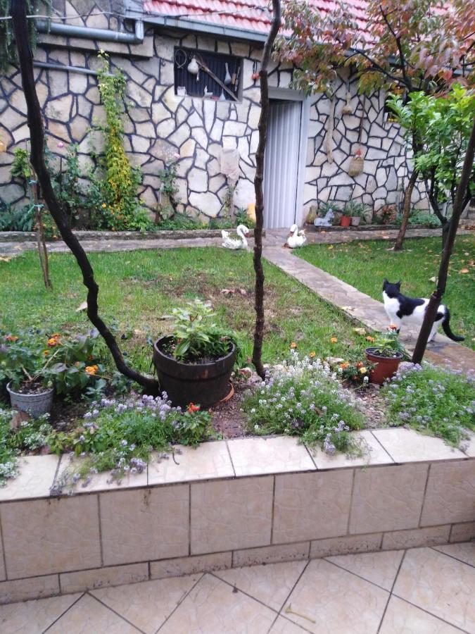 Janina Hisa Stolac Exterior foto